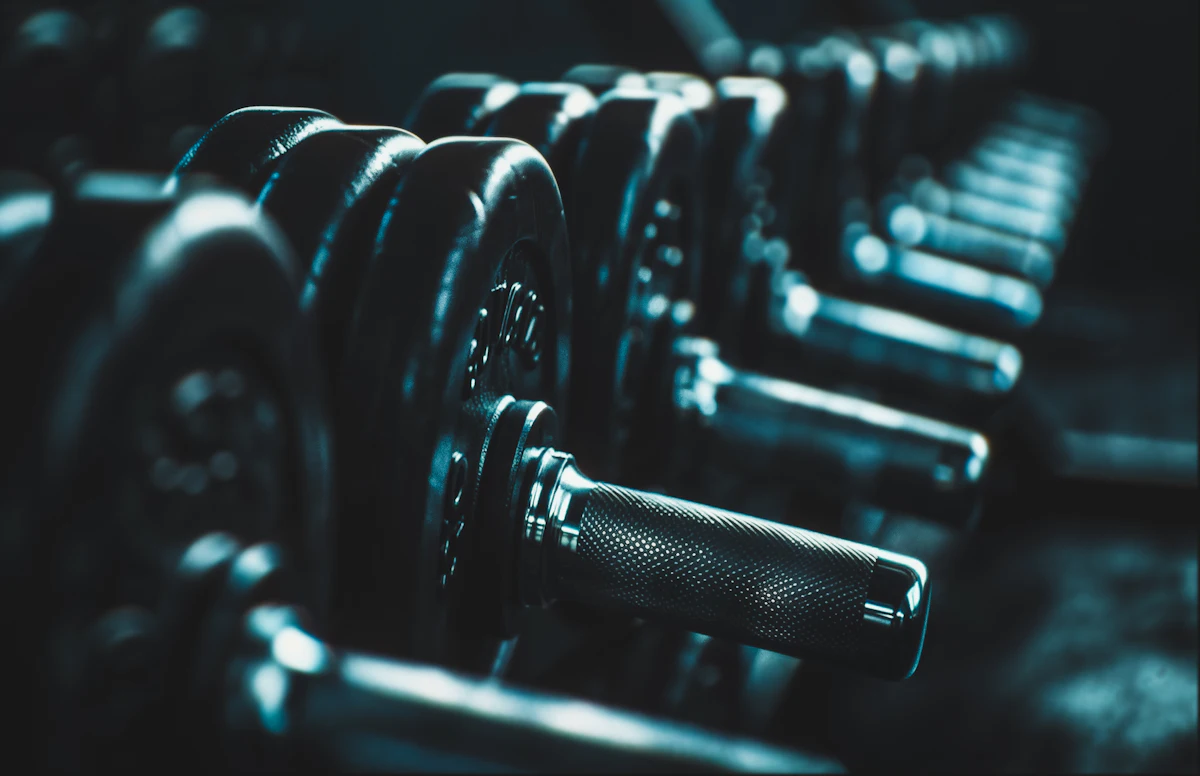 A row of dumbbells on a rack in a dimly lit gym